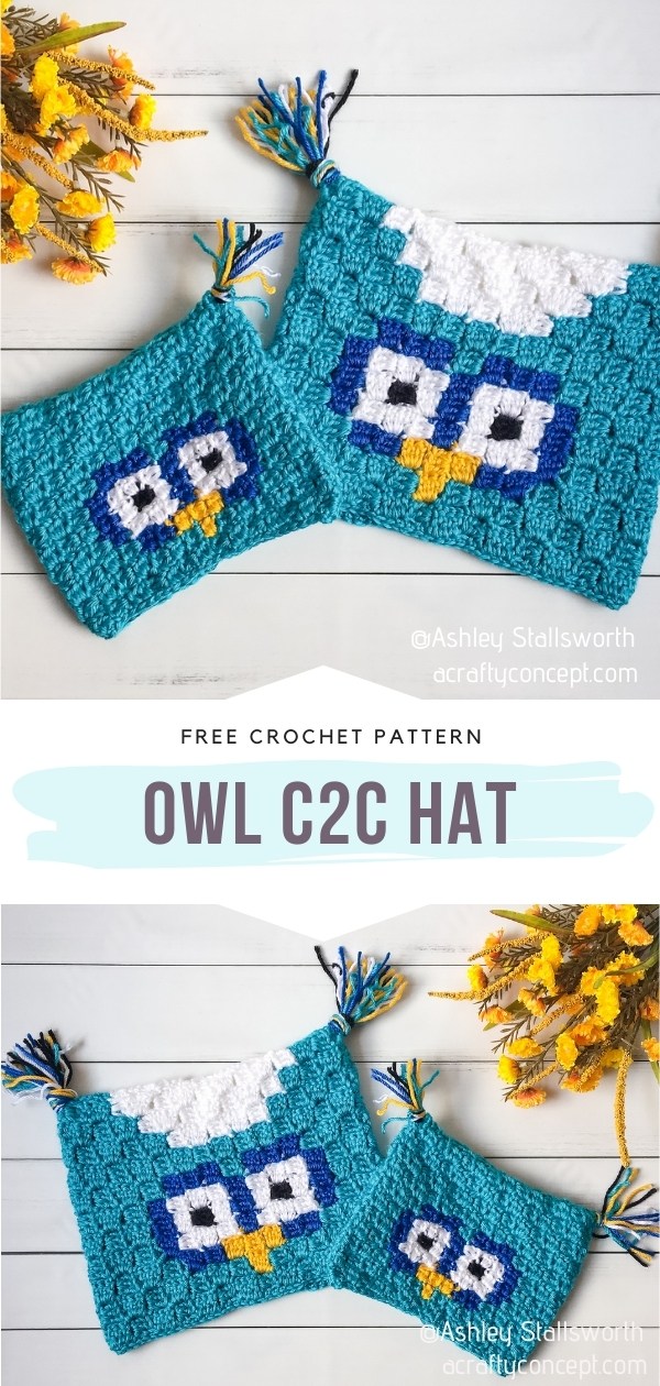 Crochet Owl Hat
