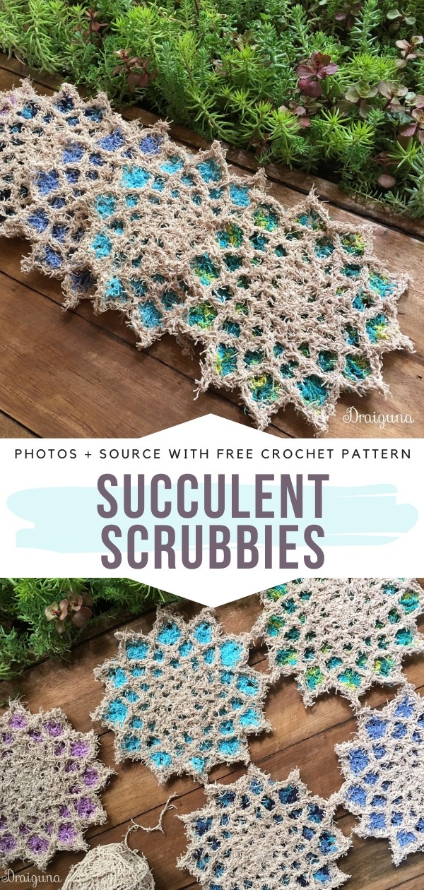 Succulent Scrubbies