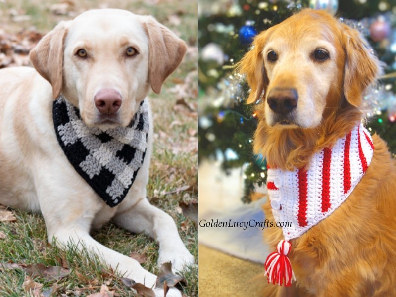 festive dog bandana