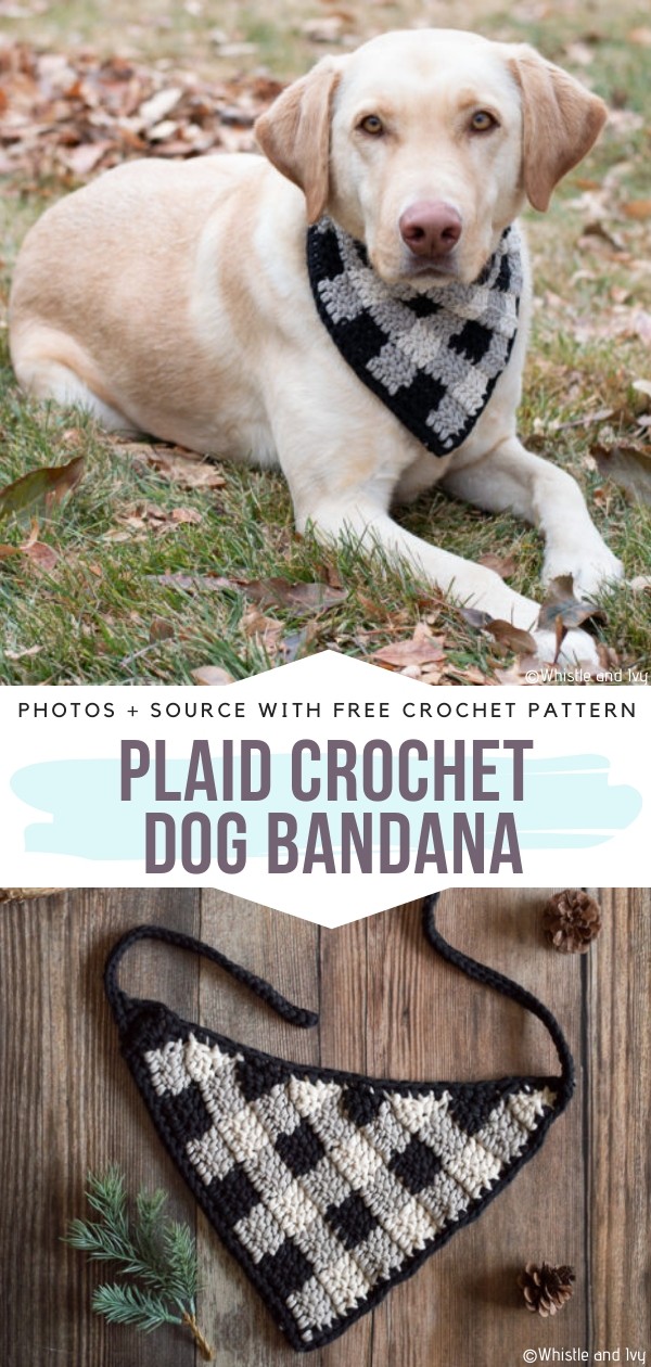 crochet dog scarf free pattern