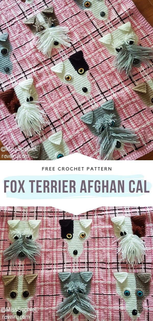 Fox Terrier Afghan CAL