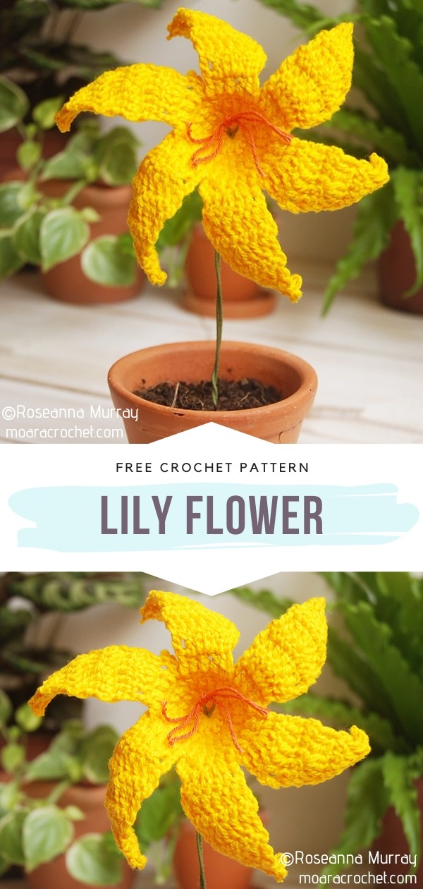 Lily Crochet Flower