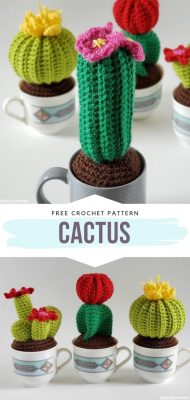 Lovely Crochet Cactus and Succulent Ideas and Free Patterns