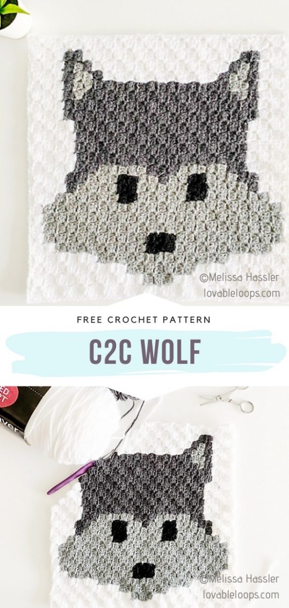 Animal Graphghan Square Ideas Free Crochet Patterns