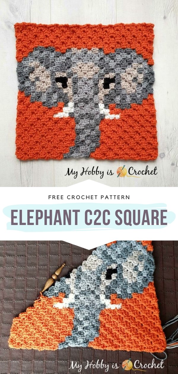 Elephant C2C Square