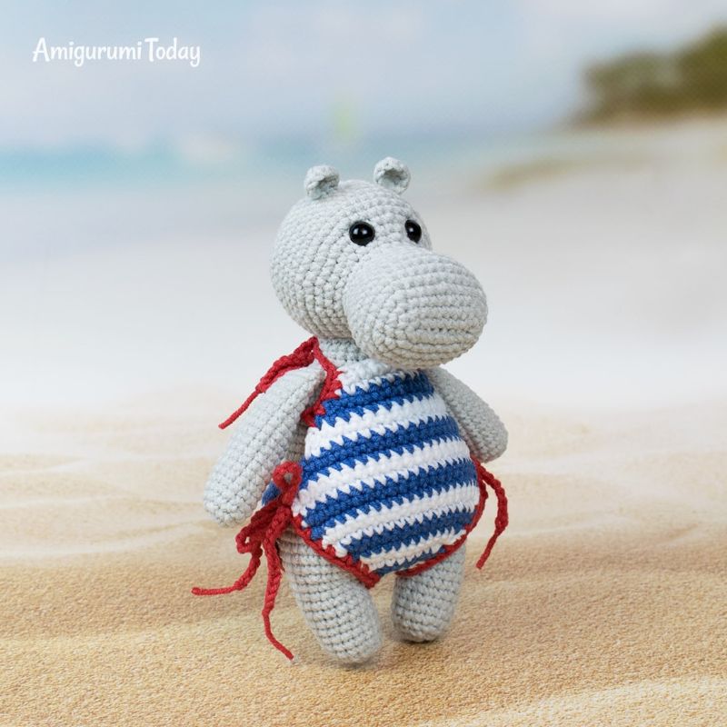 Hippo in Swimsuit