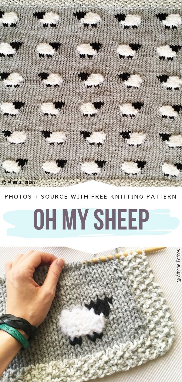 Knit Sheep Baby Blanket