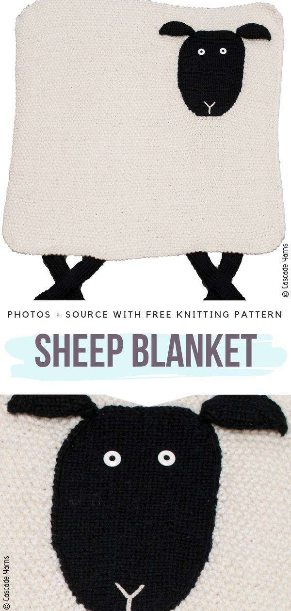 Sheep Blanket
