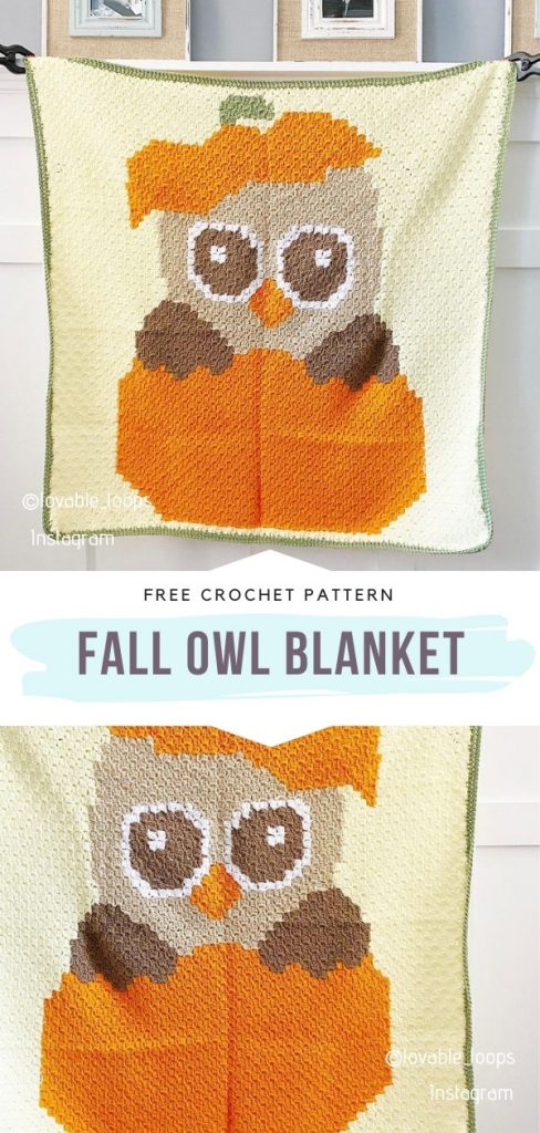 Fall Crochet Blanket Ideas and Free Patterns