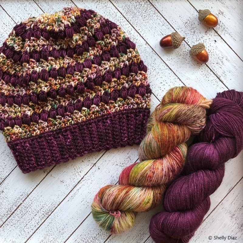 Autumn Dreams Beanie Free Crochet Pattern