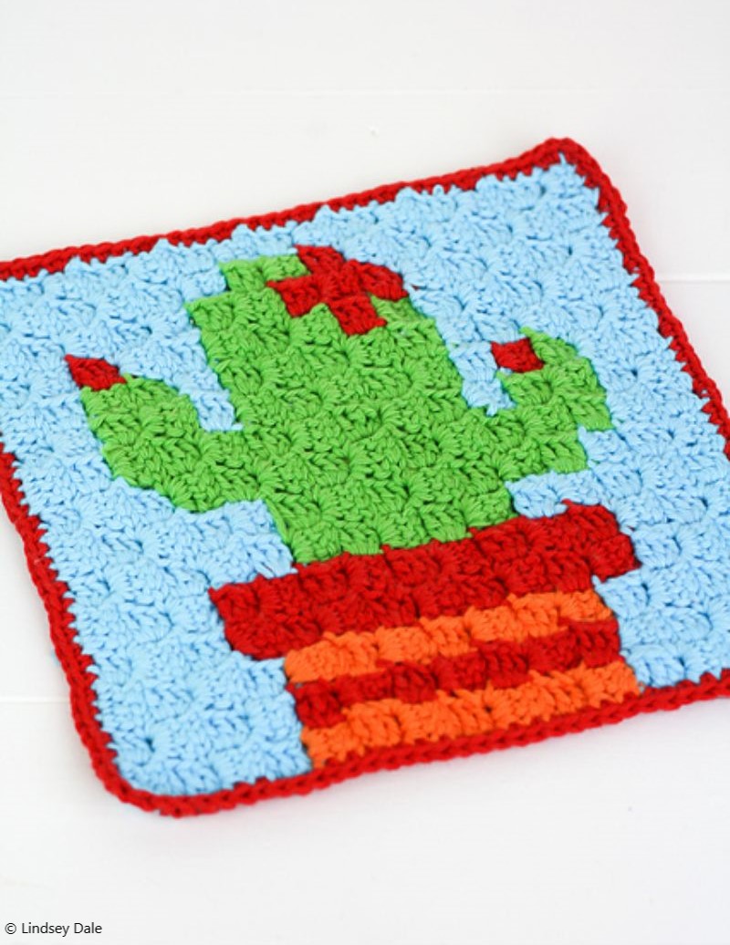 Cactus Washcloth or Pot Holder