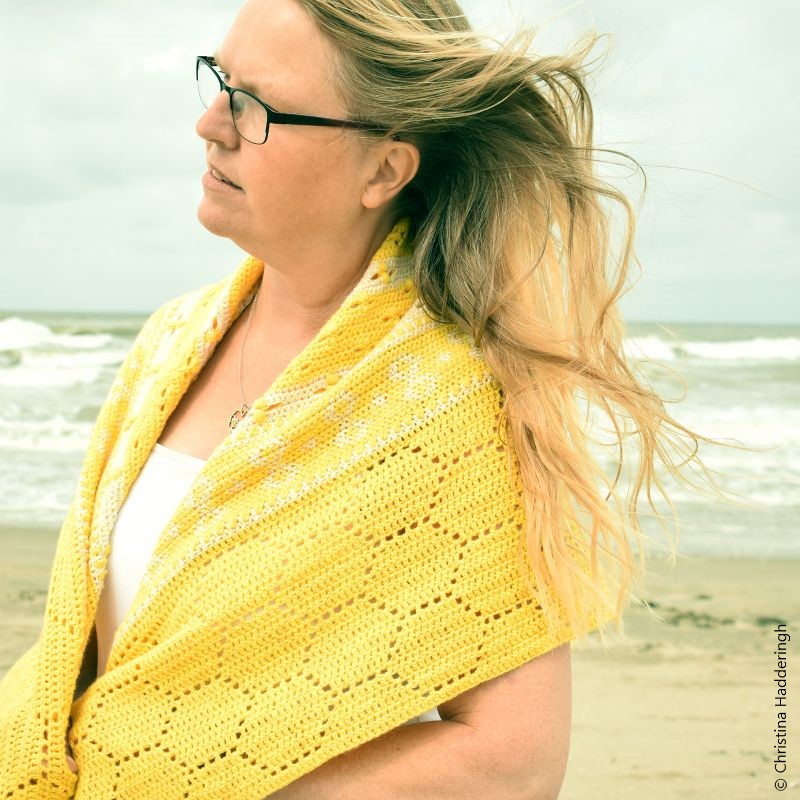 History of Bees Shawl Crochet Pattern