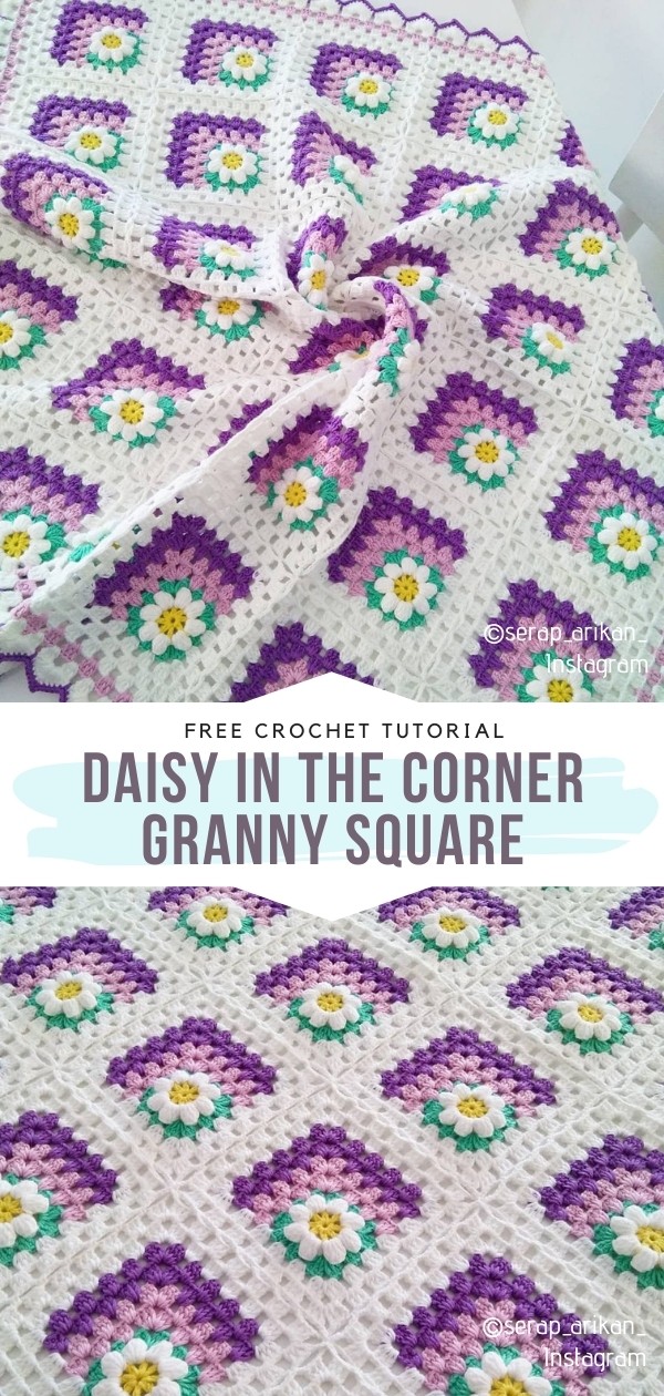 Daisy in the Corner Granny