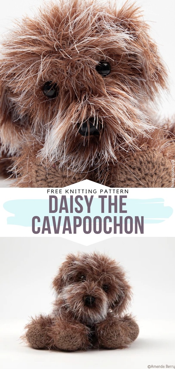 Daisy the Cavapoochon Free Crochet Pattern