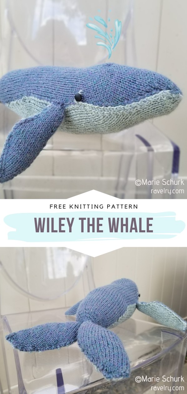 wiley whale