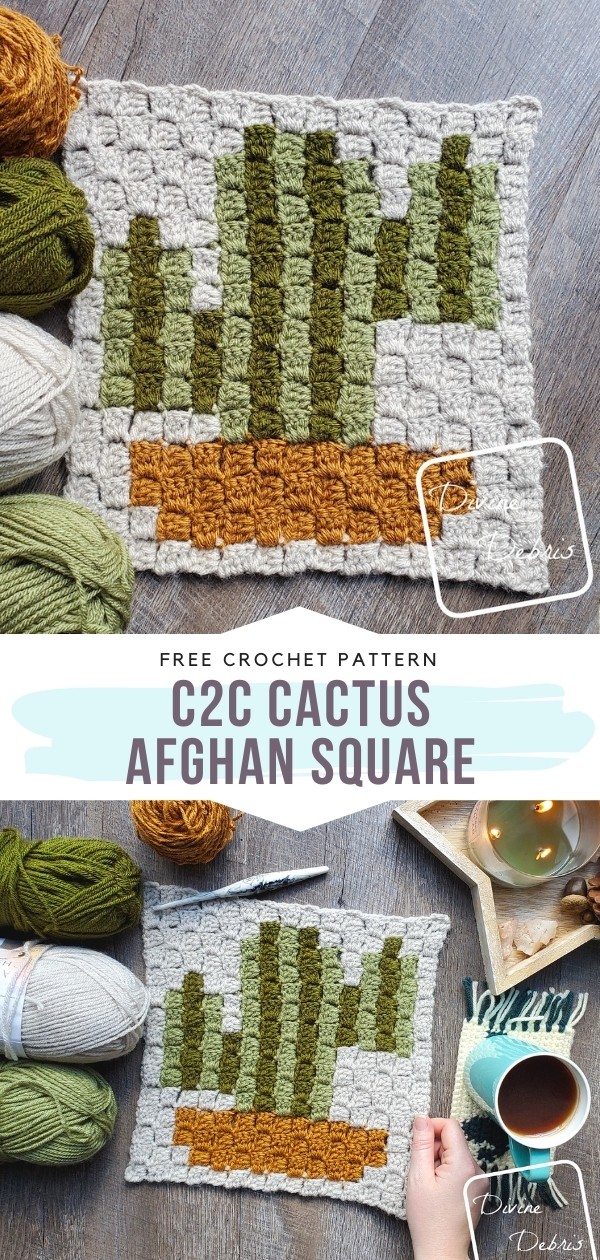 C2C Cactus Afghan Square