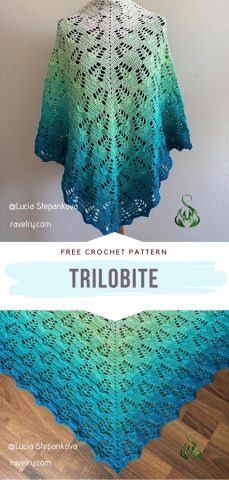 Gradient Colorway Shawls - Free Crochet Patterns