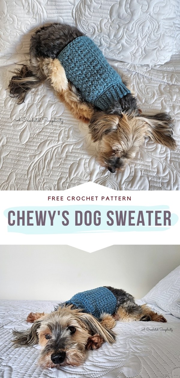 11 Free Crochet Patterns for Dog Sweaters