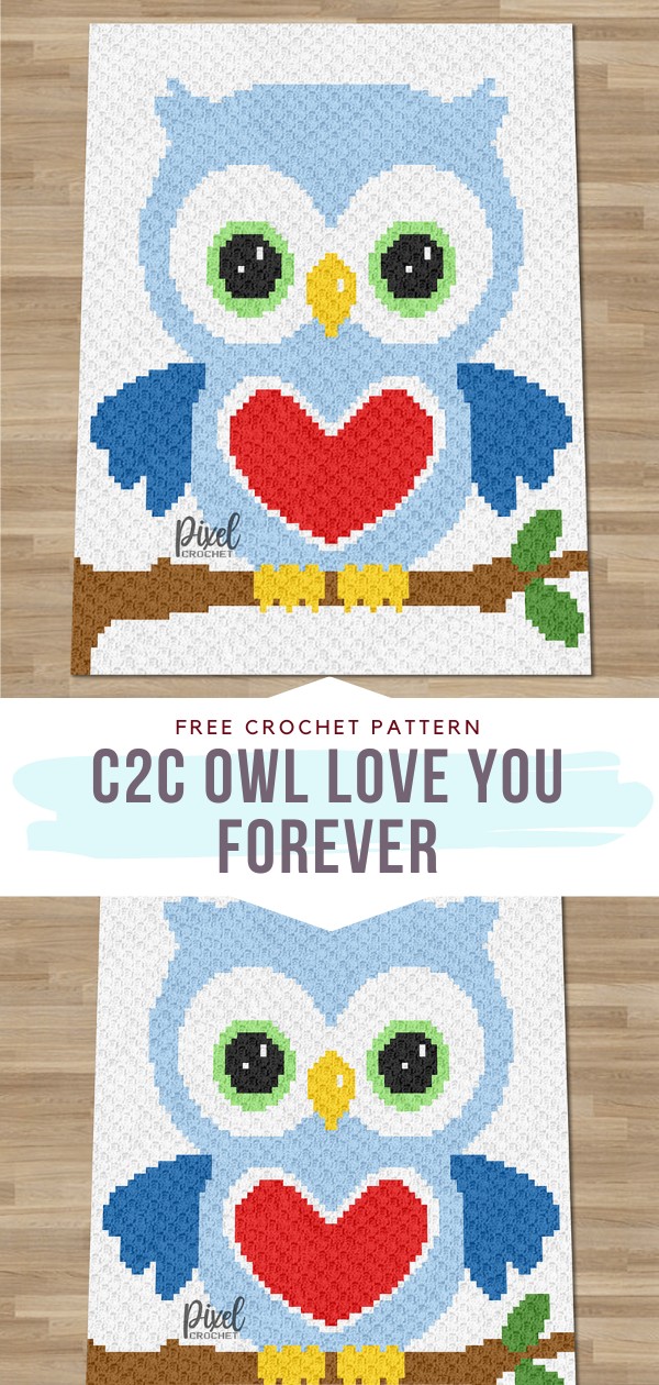 C2C Owl Blanket