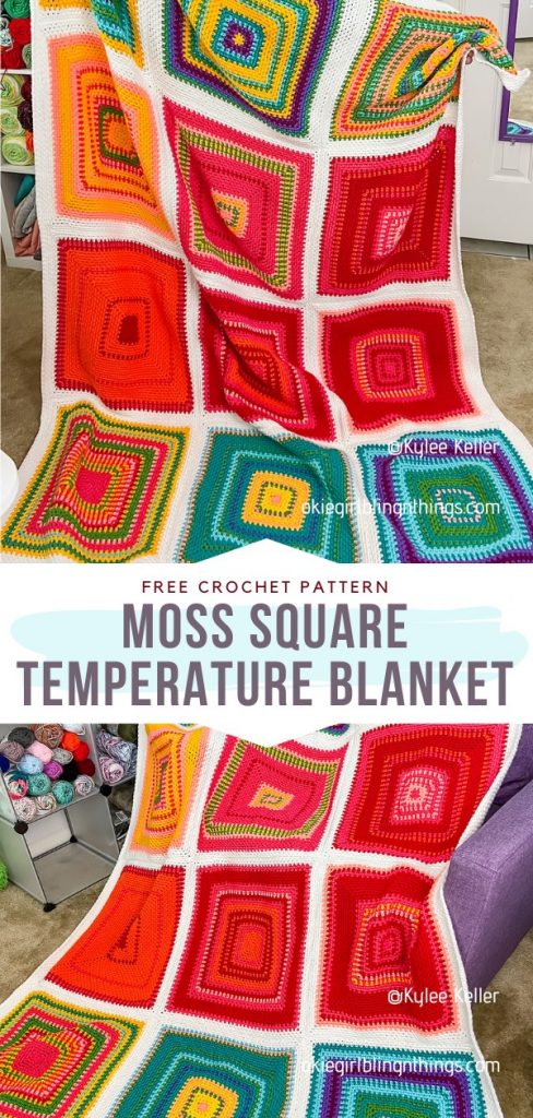 10+ Crochet Temperature Blanket Ideas [Free Patterns]