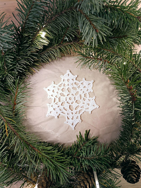 A snowflake in a christmas tree.