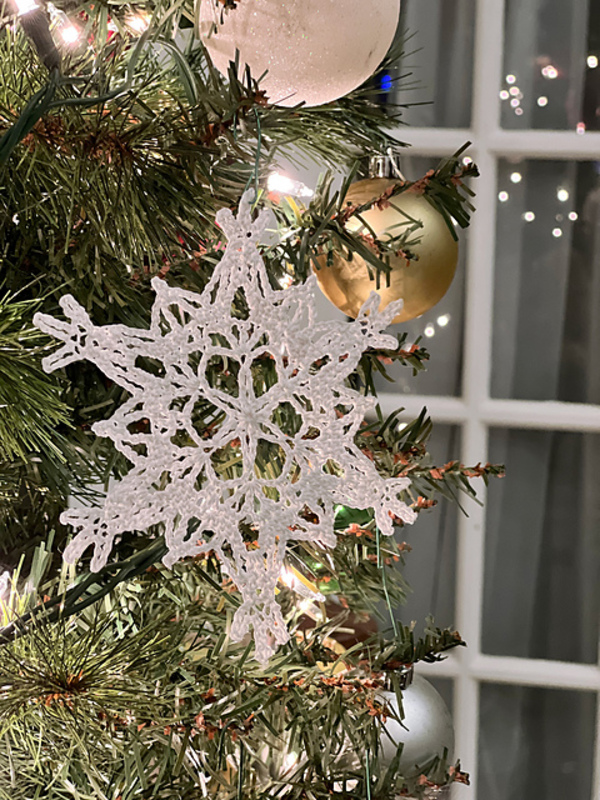 A snowflake ornament hangs on a christmas tree.