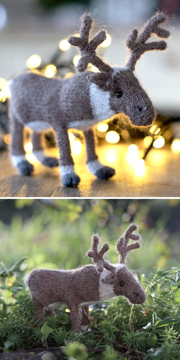 Two pictures of a reindeer in the grass.