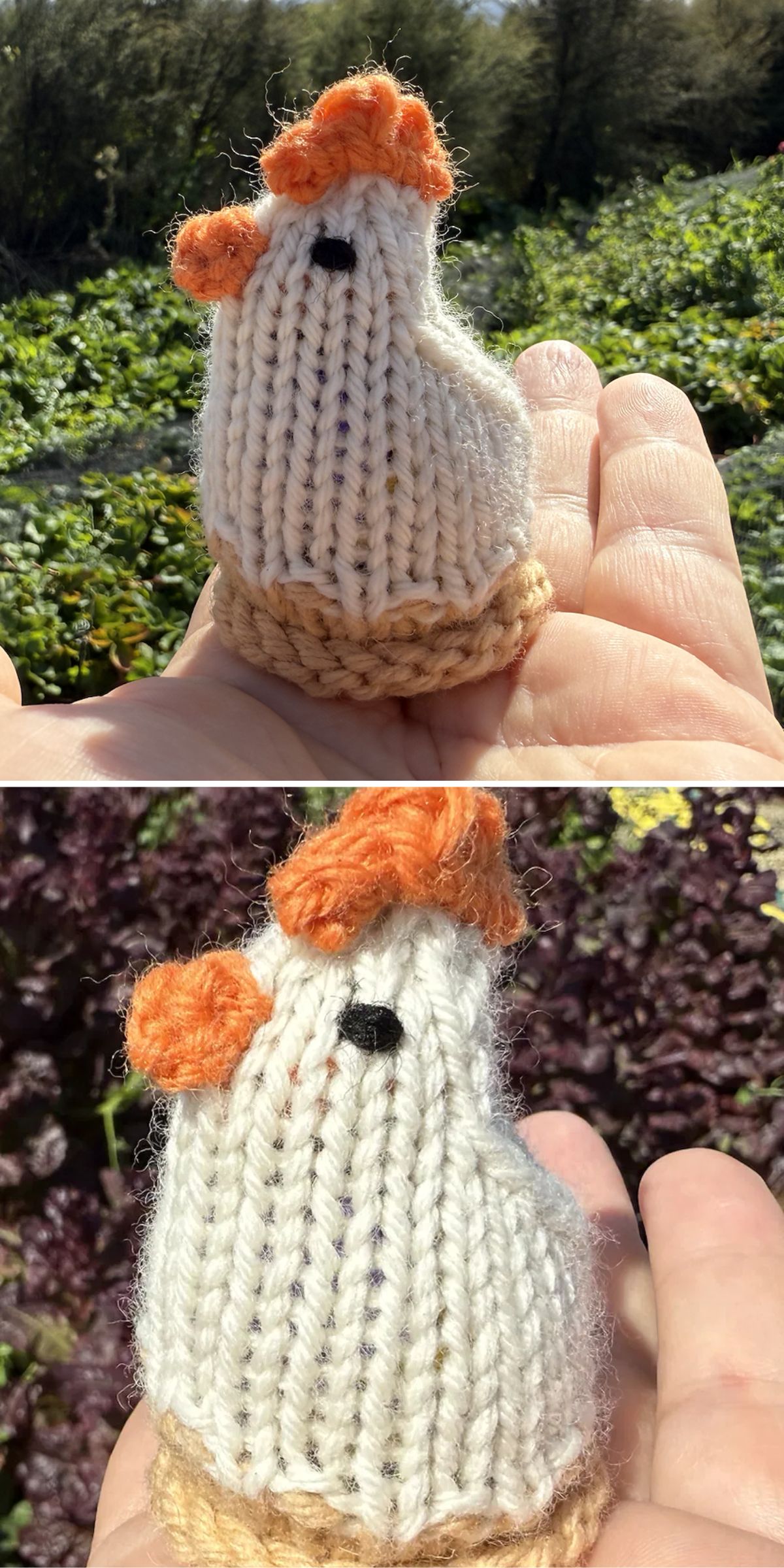 a small knit chicken amigurumi