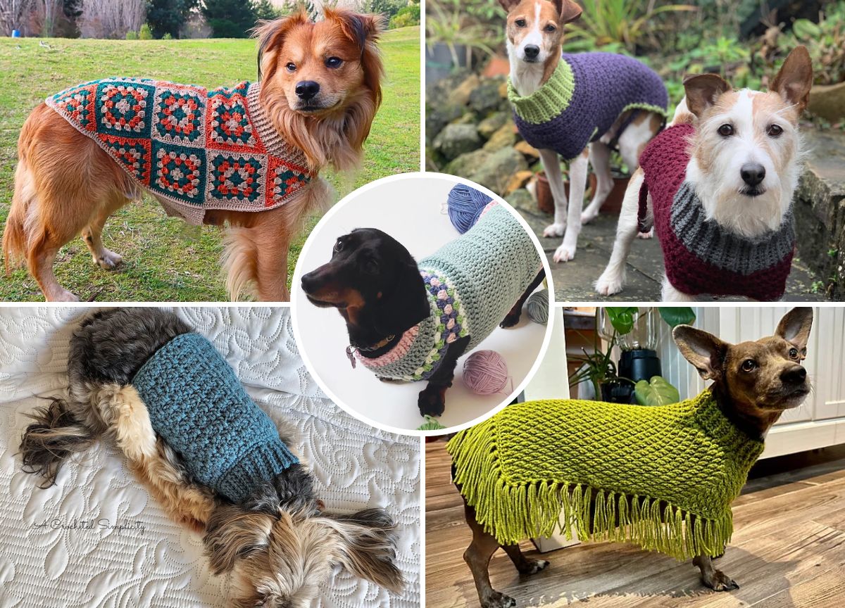 a collection of crochet dog sweaters