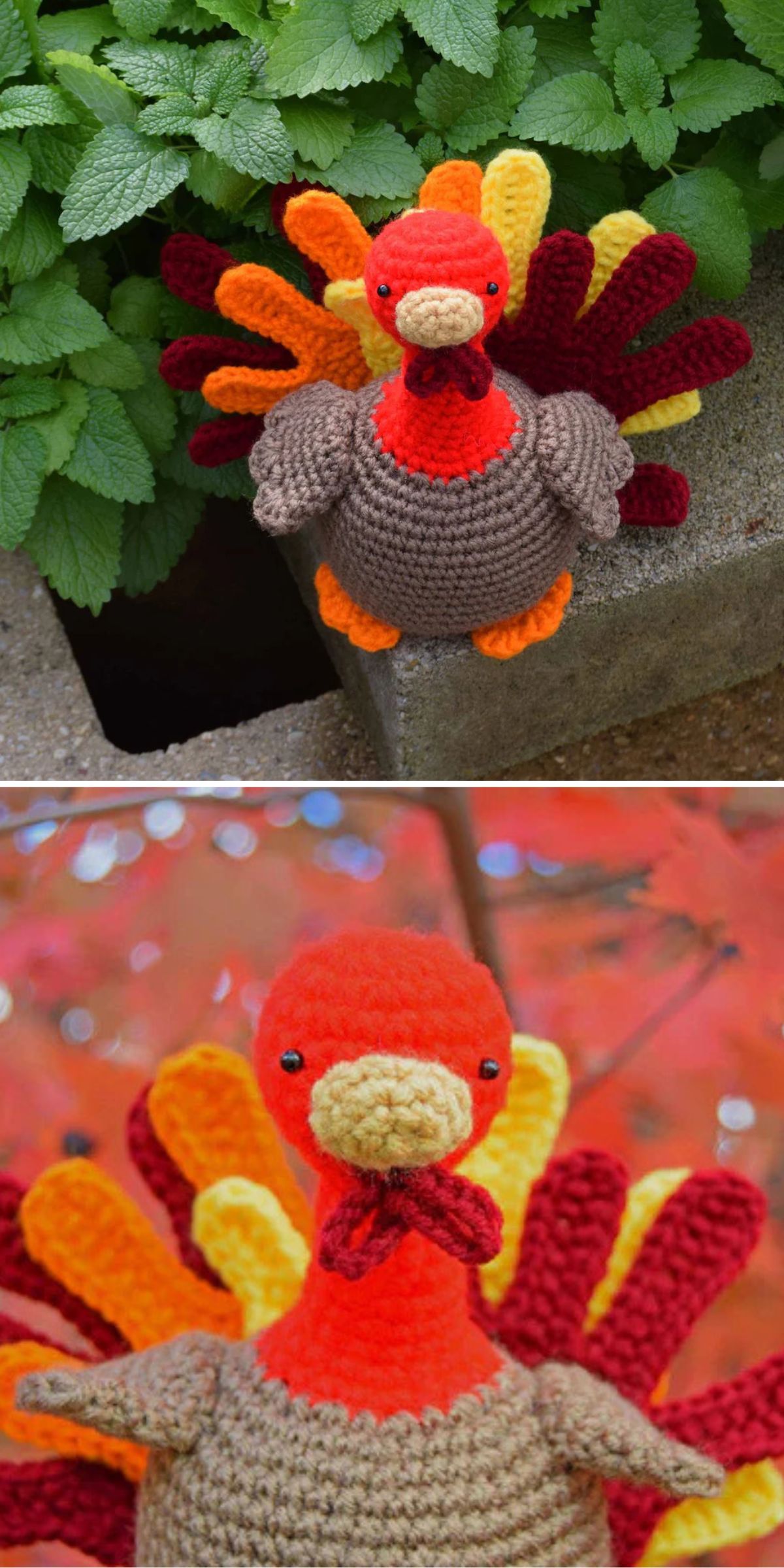 Two photos of a crocheted turkey toy with red, orange, and yellow tail feathers, shown outdoors next to green leaves and in front of a red background.