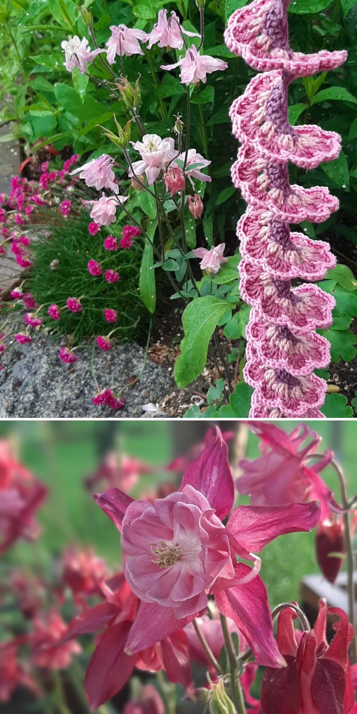 Two photos: The top shows pink flowers and a crocheted pink plant among green leaves; the bottom is a close-up of a pink columbine flower with a blurred green background.
