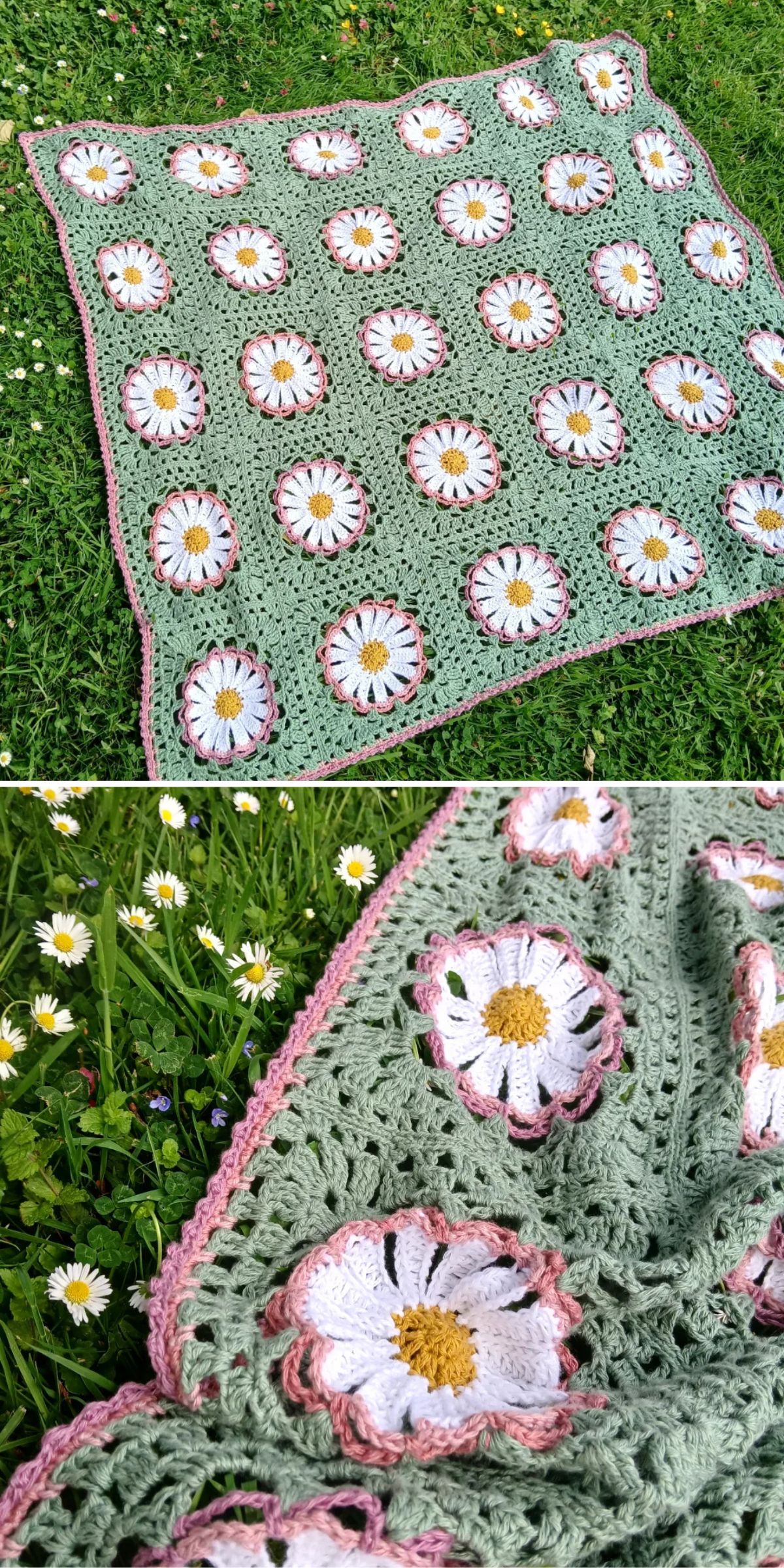 Crocheted blanket with white daisy flower motifs and pink trim is laid on green grass, shown in full and close-up views.